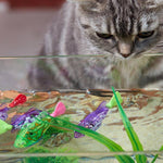 5 Pcs Water Activated Light Up Fish Toy